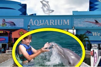 Nado con Delfines Nivel 1 al Acuario Interactivo Cancun