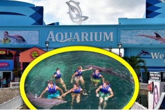 Nado con Delfines Nivel 2 al Acuario Interactivo Cancun