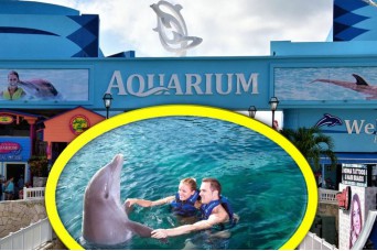 Nado con Delfines Nivel 3 en Duo al Acuario Interactivo Cancun