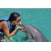 Eco-Parque Garrafón Isla Mujeres & Nado con Delfines Nivel 1