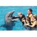 Eco-Parque Garrafón Isla Mujeres & Nado con Delfines Nivel 2