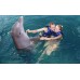 Nado con Delfines Nivel 3 en Duo al Acuario Interactivo Cancun