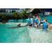 Nado con Delfines Nivel 3 al Acuario Interactivo Cancun
