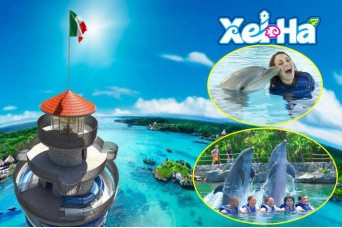 Tour Xel-Ha Todo Incluido & Nado con Delfines Nivel 1