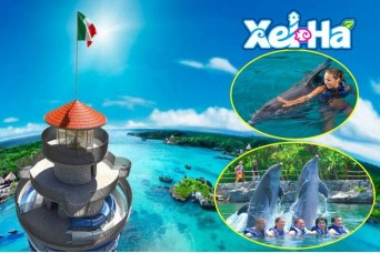Tour Xel-Ha Todo Incluido & Nado con Delfines Nivel 2